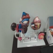 Dr Yacoob11 Dr Yacoob11